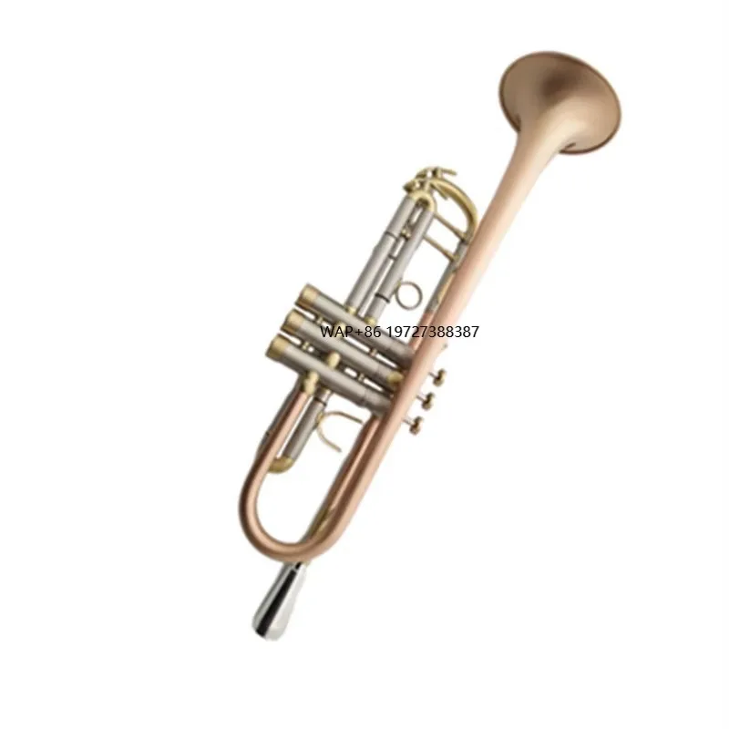 Musical Instrument Manufacturers - The Manufacturer Sells Small-sized Musical Instruments