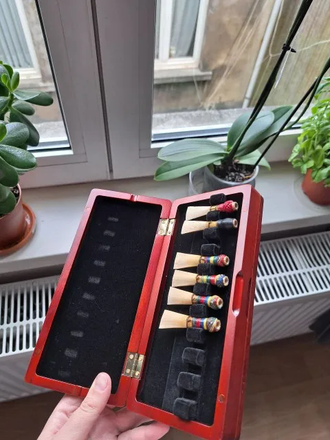 1pcs Bassoon Reed Storage Case - Musical Instrument Bazooka 评论和价格