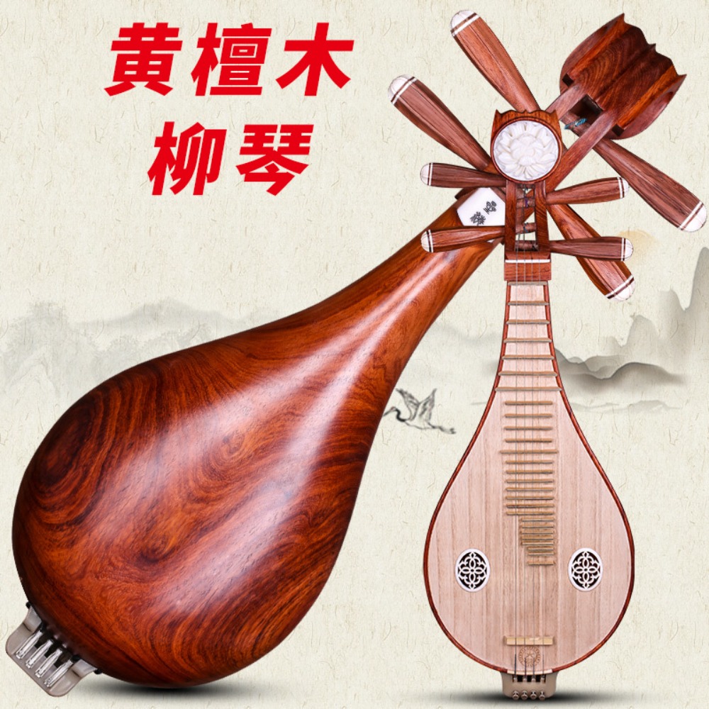 Beijing Xinghai 8414-A Rosewoo - Musical Instrument Of 评论和价格