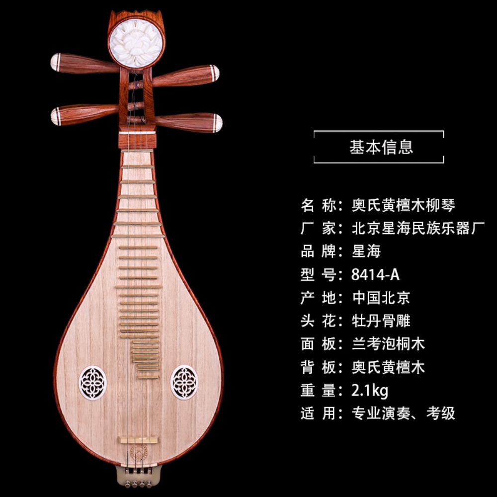 Beijing Xinghai 8414-A Rosewoo - Musical Instrument Of 评论和价格